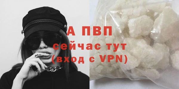 прущие грибы Липки