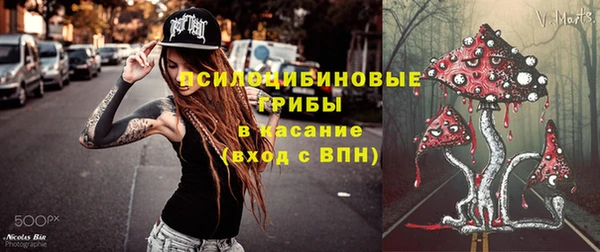 мдпв Магадан