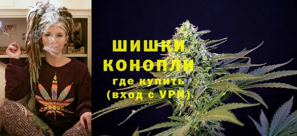 прущие грибы Липки