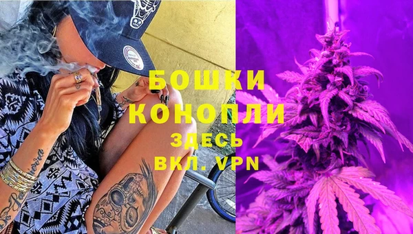 дурь Лиски
