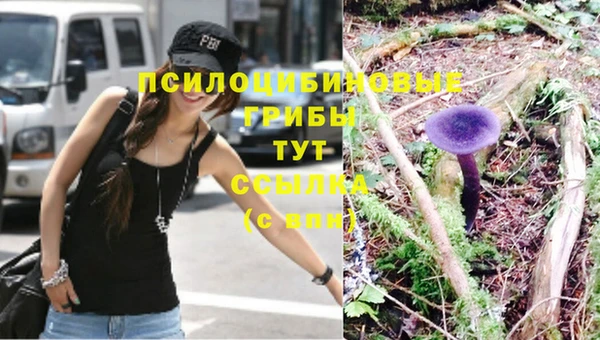 прущие грибы Липки