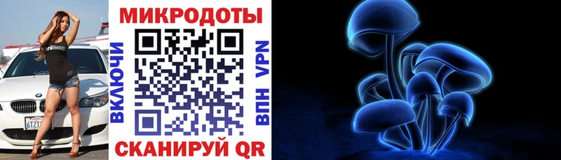 Галлюциногенные грибы Psilocybe  наркота  Новосиль 